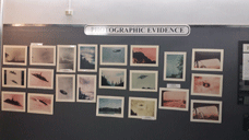 The evidence is undeniable.