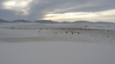 White Sands